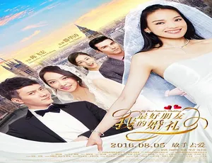 2016 中国大陆《我最好朋友的婚礼》普通话 4.25GB 百度网盘资源-小文资源网