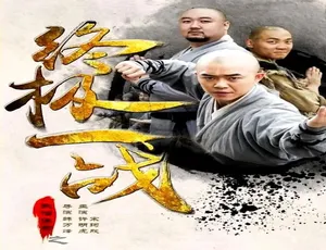 2015 中国大陆《武僧传奇之终极一战》汉语普通话 4.96GB 百度网盘资源-小文资源网