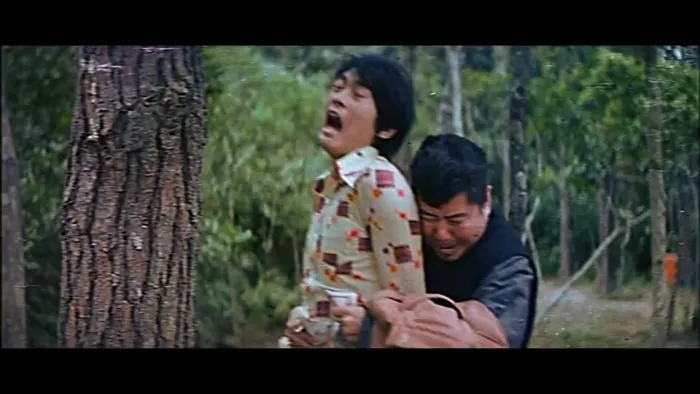 [1975][香港][小山东到香港][国语中字][MKV][2.51GB][百度网盘]