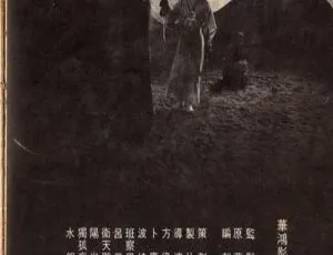 1978 中国台湾经典《大地飞鹰》国语 DVD-RMVB 505MB 百度盘资源