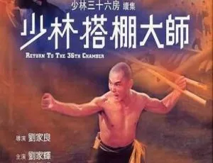 1980香港经典《少林搭棚大师》多语高清 1.08GB 百度网盘资源