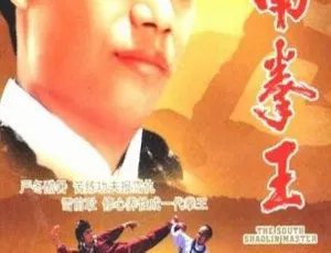 香港经典《南拳王1984》国语RMVB 537MB百度盘资源-小文资源网