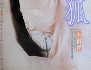 1991香港经典《灵狐》：国粤双语中字 824MB MKV 百度网盘资源