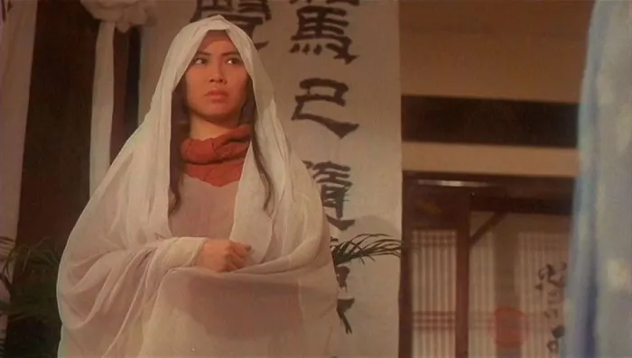 [1991][香港][灵狐_Fox_Legend][国粤双语中字][MKV][824MB][百度网盘]