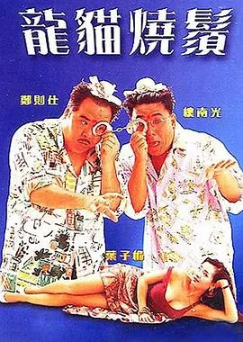 [1992][香港][龙猫烧须][国语中字][MKV][1.53GB][百度网盘]