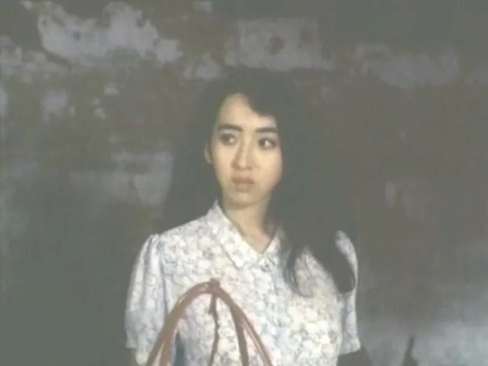 [1992][香港][她来自胡志明市_Vietnamese Lady][国粤双语中字][MKV][1.55GB][百度网盘]