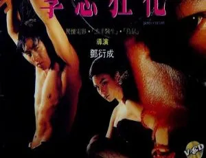 1993 香港经典《孽恋狂花》国粤双语无字 559MB 百度网盘资源