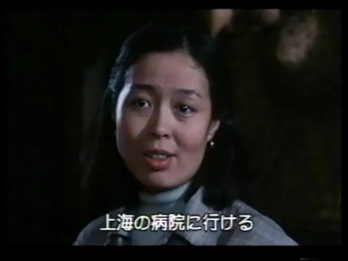 [1995][中国][砚床][国语日语字幕][853MB][百度网盘]