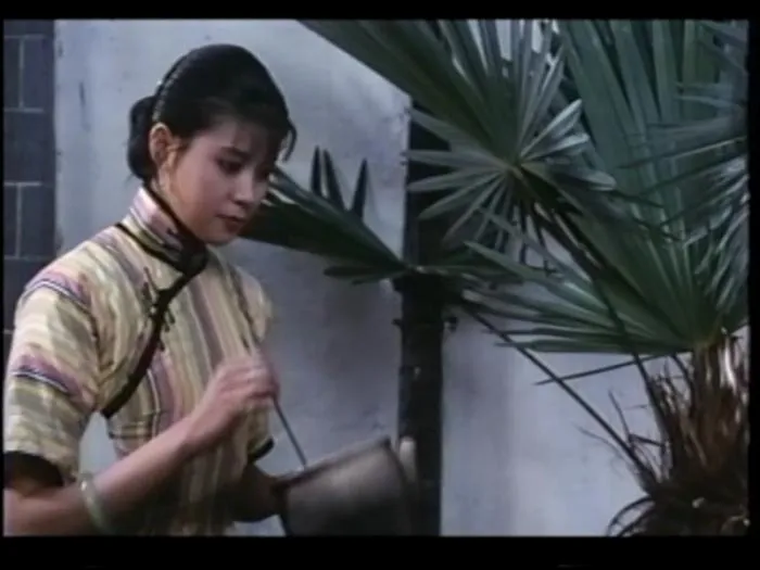 [1995][中国][砚床][国语日语字幕][853MB][百度网盘]