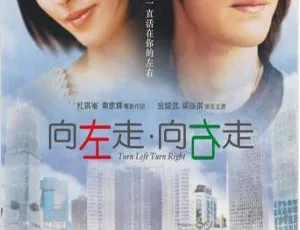 2003 香港经典《向左走 向右走》粤语中字 529MB 百度网盘资源