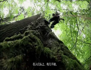 1080P 英语中字！《树屋大师》第一季8集 百度网盘资源