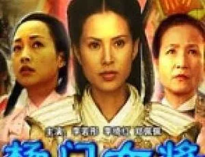 2004 中国经典：杨门女将情定穆柯寨 1.28GB 国语无字 MP4 百度网盘资源