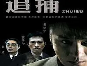 2007香港经典《追捕》国语中字452MB百度盘资源