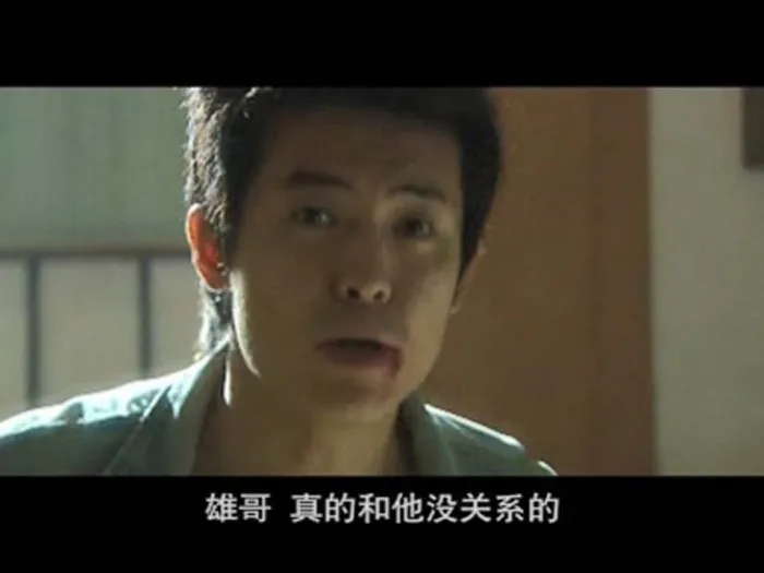 [2007][香港][追捕][国语中字][MPG][452MB][百度盘]
