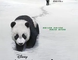 2009 中国电影《熊猫回家路》国语中字 1.69GB 百度网盘资源-小文资源网
