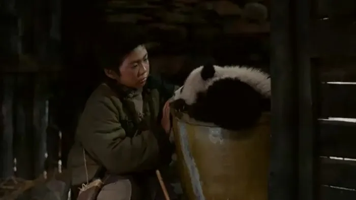 [2009][中国][熊猫回家路][国语中字][MP4][1.69GB][百度网盘]