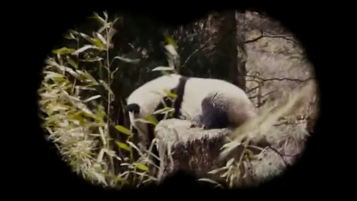 [2009][中国][熊猫回家路][国语中字][MP4][1.69GB][百度网盘]