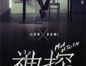 2017 版《神探》2007 高清 1080p 国粤双语中字 百度网盘资源-小文资源网