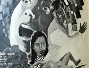 1970 中国香港经典《遗产五亿元》：刑慧金峰主演 国语中字 0.8G MKV 资源-小文资源网