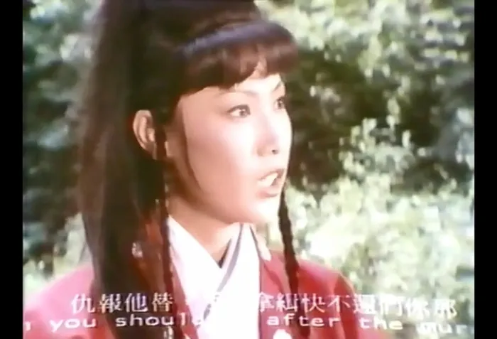 [1978][台湾]《浪子一招》国语中字_MP4_685M[百度盘]