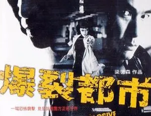 2004香港经典《爆裂都市_第六计》：任达华 方中信 千叶真一 粤国双语中字 684m mkv 必看-小文资源网