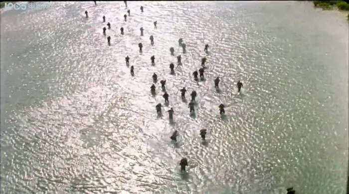 [2002][内地]《冲出亚马逊》[侯勇_穆立新][国语无字][mp4_654MB]
