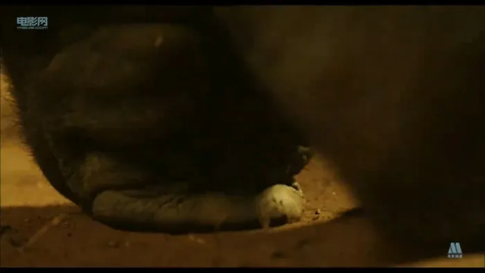 [2011][内地]《刀见笑》[宁浩_安藤政信_张雨绮][国语中字][mp4_549MB][720P]