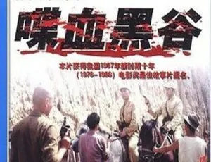 大陆经典《喋血黑谷》1984 400M rmvb 90 云盘及百度盘资源