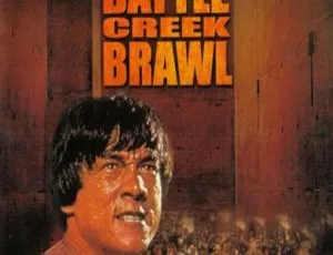 1980 美国与中国香港合拍经典《德州龙：杀手壕》 国语中字高清资源 2.68G
