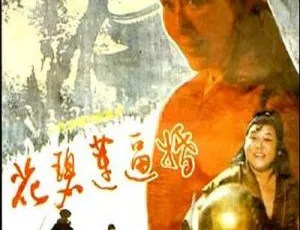1993 内地经典《花碧莲逼婚》：李琳 贾平主演 4.55GB 珍藏资源-小文资源网