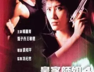 1989 香港经典《皇家师姐 4：直击证人》1080P 无水印 BD 国粤双语中字 452M 资源-小文资源网