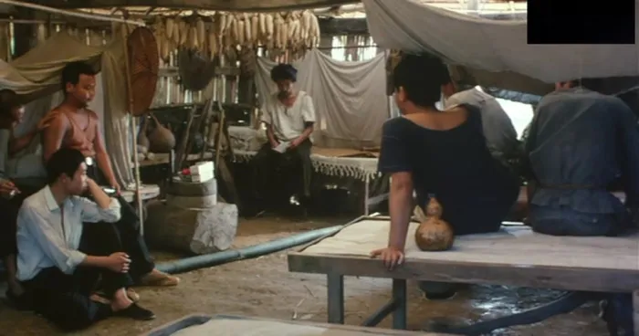 [1987][中国内地]《孩子王》[国语中字][MP4_788.6M][谢园_ 杨学文 _ 陈绍华]