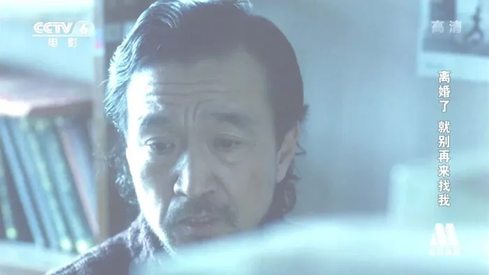 [1996][中国]《离婚了_就别再来找我》[国语中字][RMVB_1G] [720P]