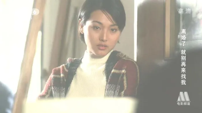 [1996][中国]《离婚了_就别再来找我》[国语中字][RMVB_1G] [720P]