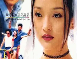 2008大陆电影《梨树花开》国语中字 600.87MB mkv 百度盘资源