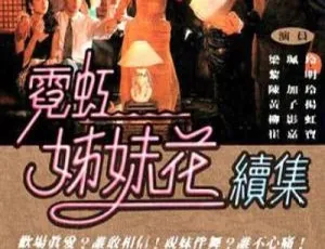 1990香港经典：黎明梁艺龄陈加玲《霓虹姐妹花》粤语无字MKV 638.65MB