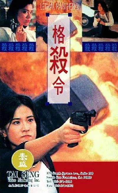 [1992][香港] 《驚天龍虎豹2格殺令》[国语中字] [DVDRip_MKV_836.60MB]