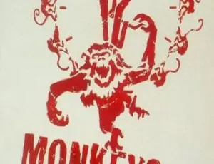 1996 美国经典科幻惊悚剧情片《十二只猴子》 ：布鲁斯·威利斯 布拉德·皮特 玛德琳·斯托主演 多语中字 662M RMVB 资源