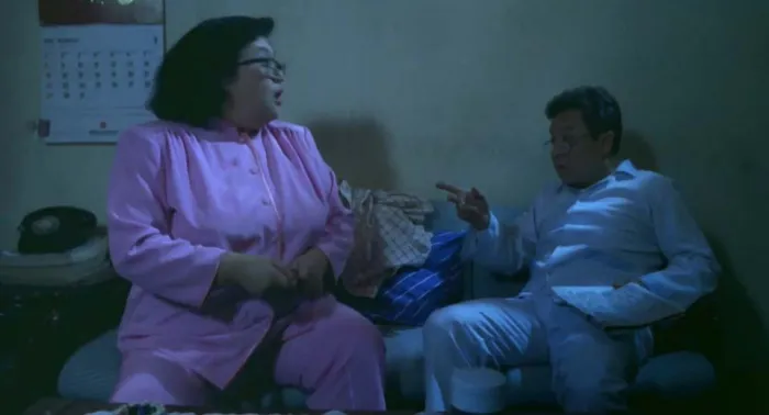 [1988][香港]《双肥临门》[国粤双语中字][WEB-DL_1080P][MKV_1.65G][沈殿霞.董彪.张曼玉]