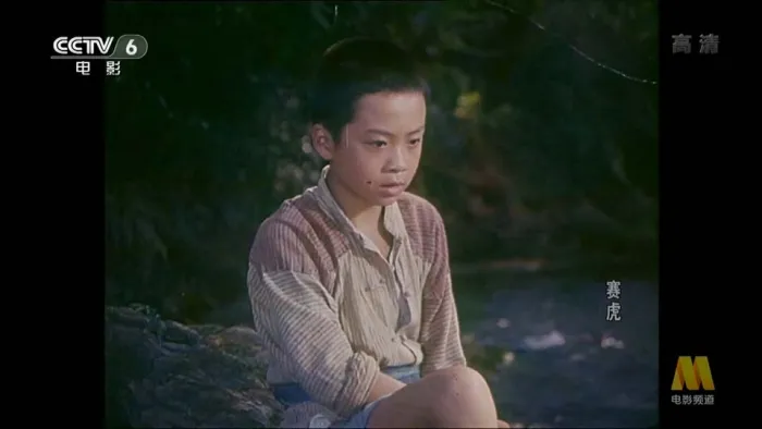 [1982] 《赛虎》[李浩_刘一兵][国语无字][flv_1.71G]