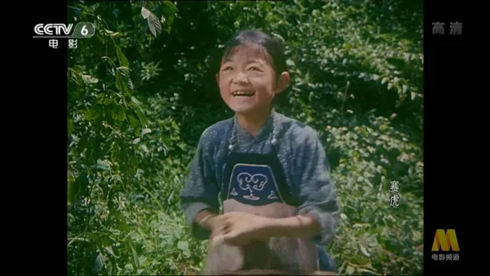 [1982] 《赛虎》[李浩_刘一兵][国语无字][flv_1.71G]