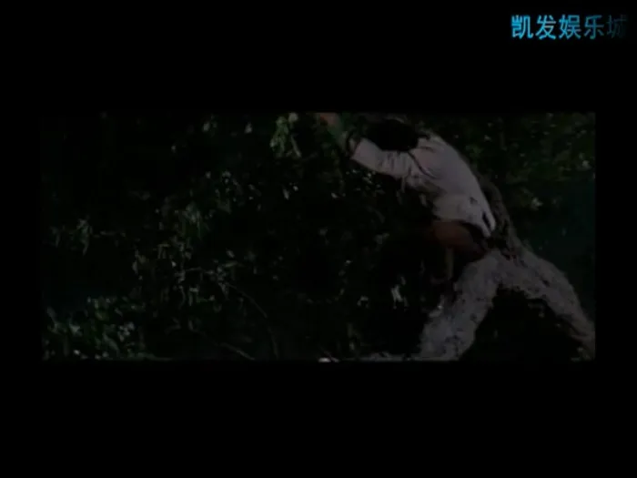 [1972][香港邵氏]《少奶奶的丝袜》[国语中字][720p_mkv]
