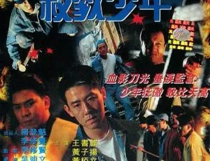1995 香港经典《杀戮少年》：王书麒 黄子扬 国粤语无字 2CD 仅 841MB
