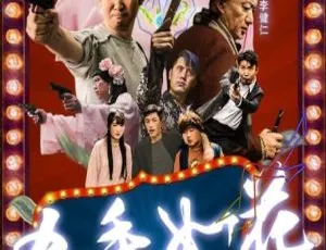 2017大陆《杀手如花之大战斧头帮》1080P高清百度盘资源