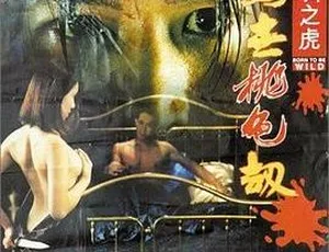 1995 香港惊世桃色劫之深圳之虎：秦豪 李妮 张睿羚 林文龙 国粤双语中字 1.29G MKV 资源