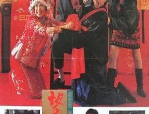 1990香港经典《望夫成龙》BD-1080P高清：周星驰吴君如成奎安 国粤双语带简繁中字