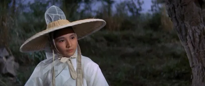 [1970][香港邵氏]《五虎屠龙》[国粤双语][720p_MKV_1.37G]