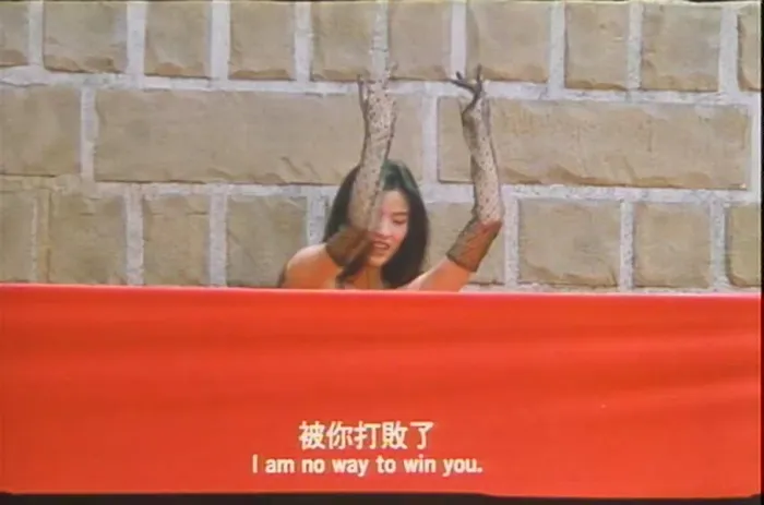 [1995][香港]《无敌反斗星_新乌龙院2》[郝劭文_释小龙_吴孟达][国粤双语_繁英硬字幕][mkv_581M]