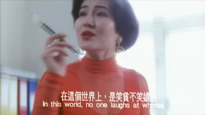 [1993][中国香港]《鸭之一族..BluRay.MKV》[国语中字][1.36GB]