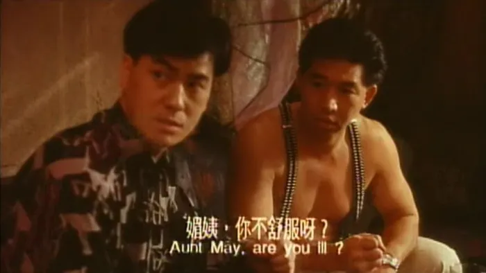 [1993][中国香港]《鸭之一族..BluRay.MKV》[国语中字][1.36GB]
